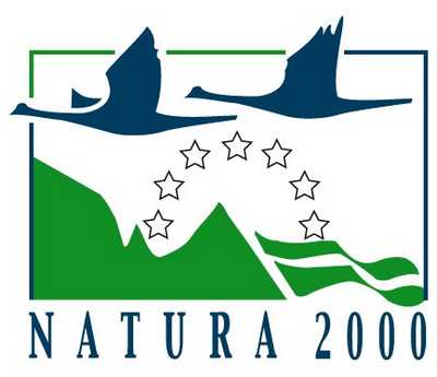 Managementplan für das NATURA 2000-Gebiet  5930-371 „Ehemaliger Standortübungsplatz Ebern und Umgebung“ liegt vor