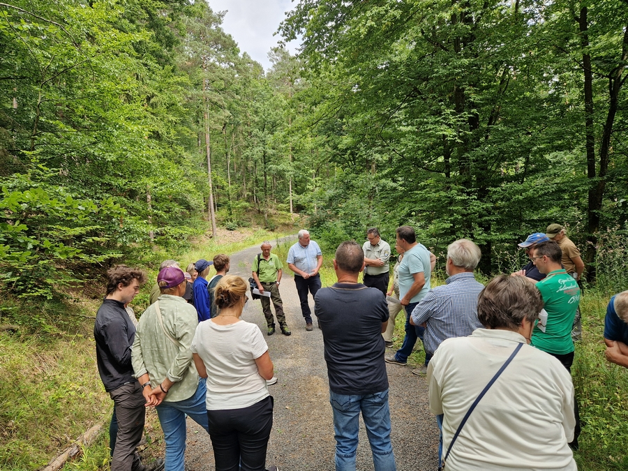Waldtag des Stadtrates Ebern: Exkursion in Zeiten des Wandels – und ein Abschied